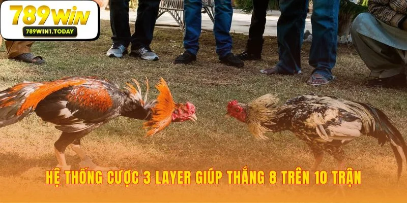 Chuyển từ may rủi sang chiến lược đặt cược thông minh