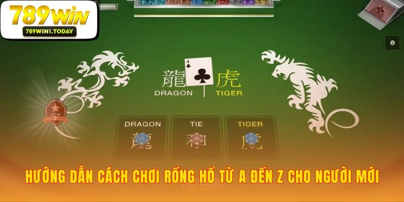 Nắm bắt toàn bộ ván bài Rồng Hổ chỉ trong 5 phút