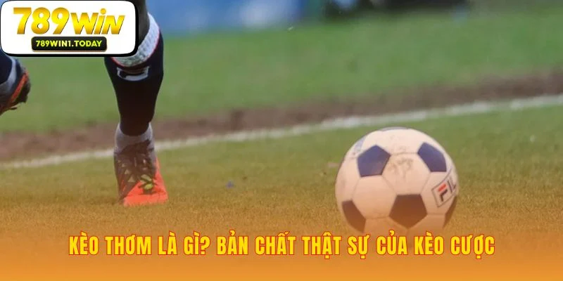 Nhận diện Kèo Thơm qua sai lầm của nhà cái