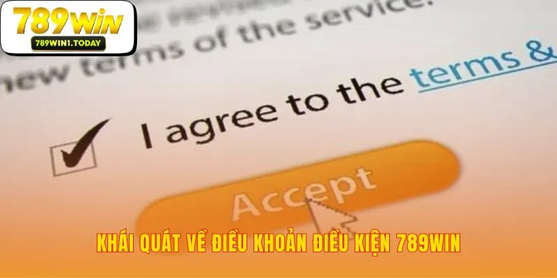 Nền tảng pháp lý của điều khoản điều kiện 789WIN